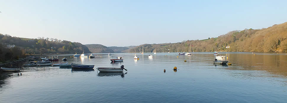 Views over Golant